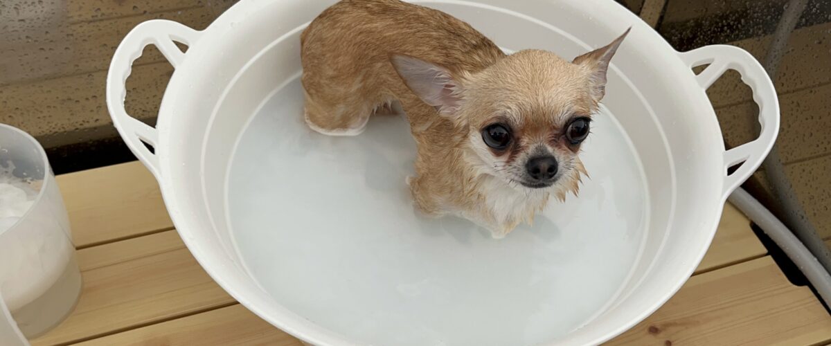 オプションメニュー